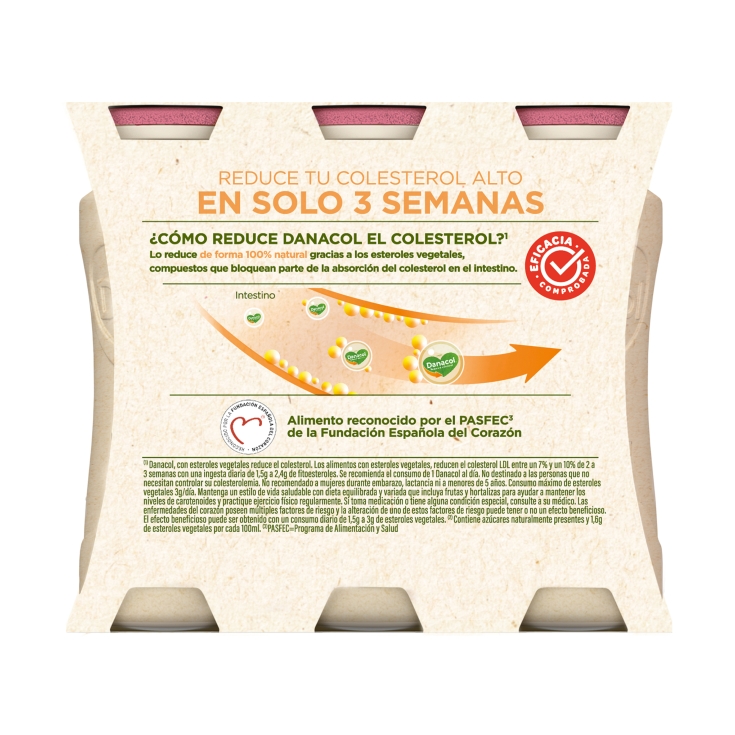 yogur líquido fresa, pk-6