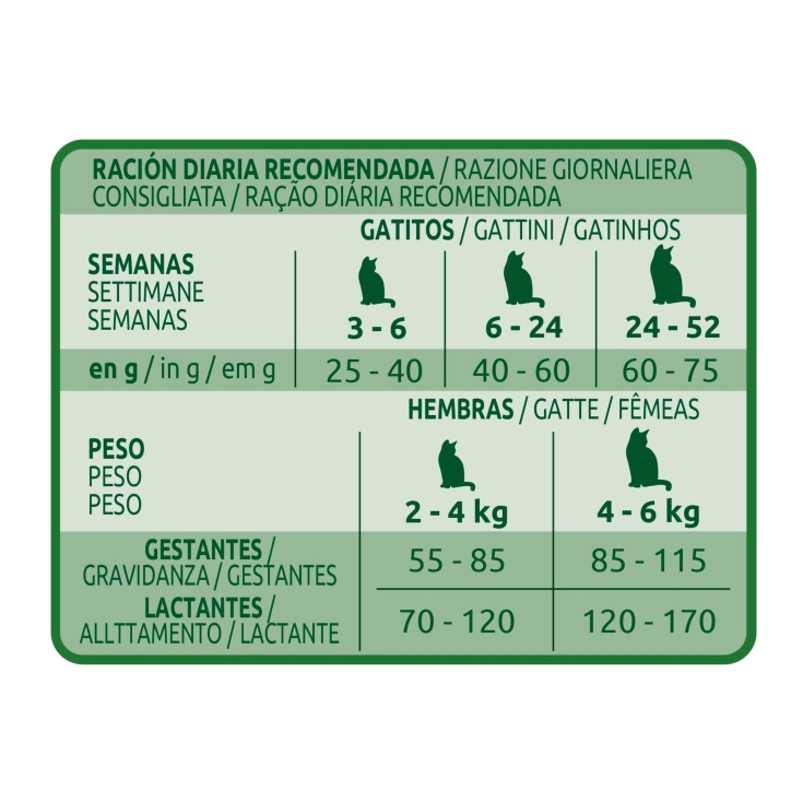 comida gatos junior pollo, 440g