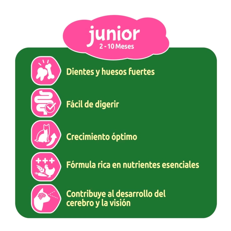 comida gatos junior pollo, 440g