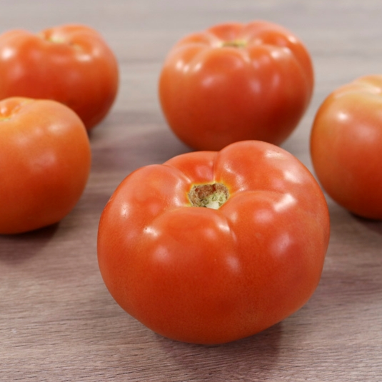 tomates rosa / rebelión, kg