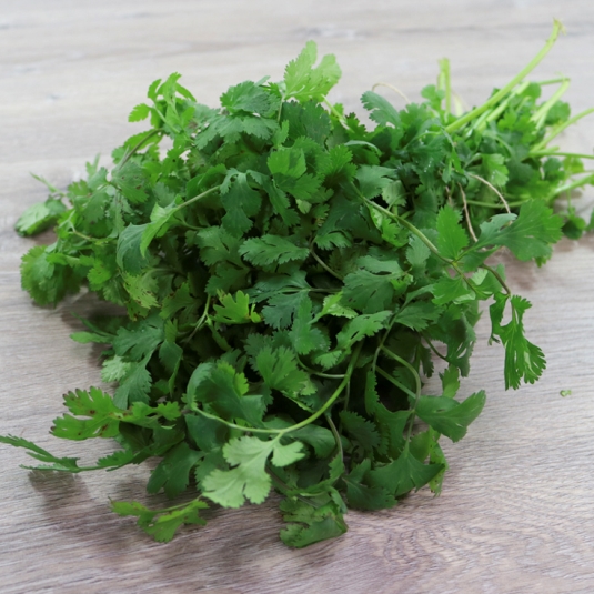 cilantro, kg