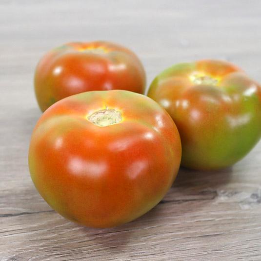 tomates recios ensalada, kg