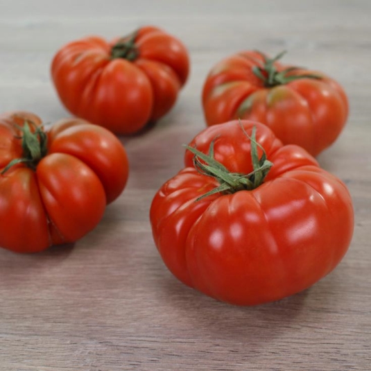 tomate asurcado, kg