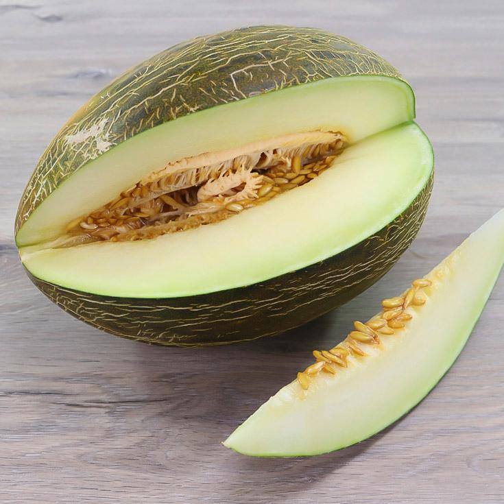 Todo 33+ Imagen de fondo como saber si un melon es macho o hembra Alta definición completa, 2k, 4k Todo 33+ Imagen de fondo como saber si un melon es macho o hembra Alta definición completa, 2k, 4k