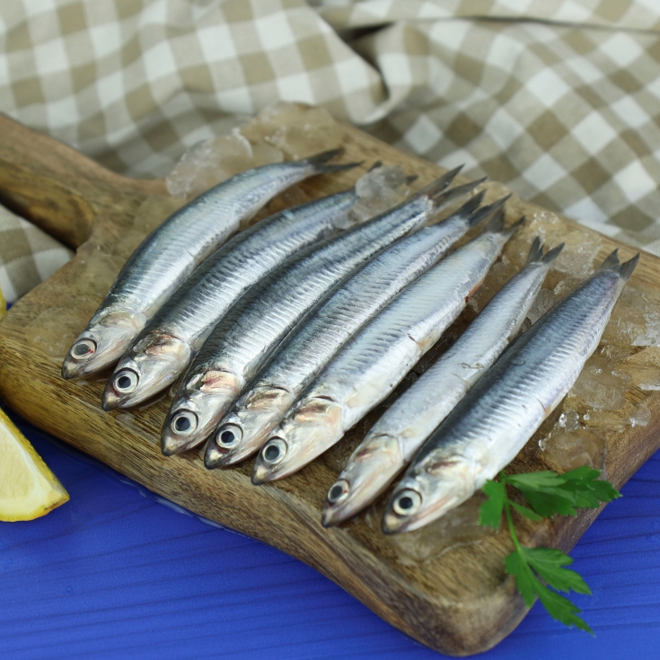 boquerón fritura, kg