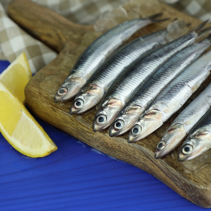 boquerón fritura, kg