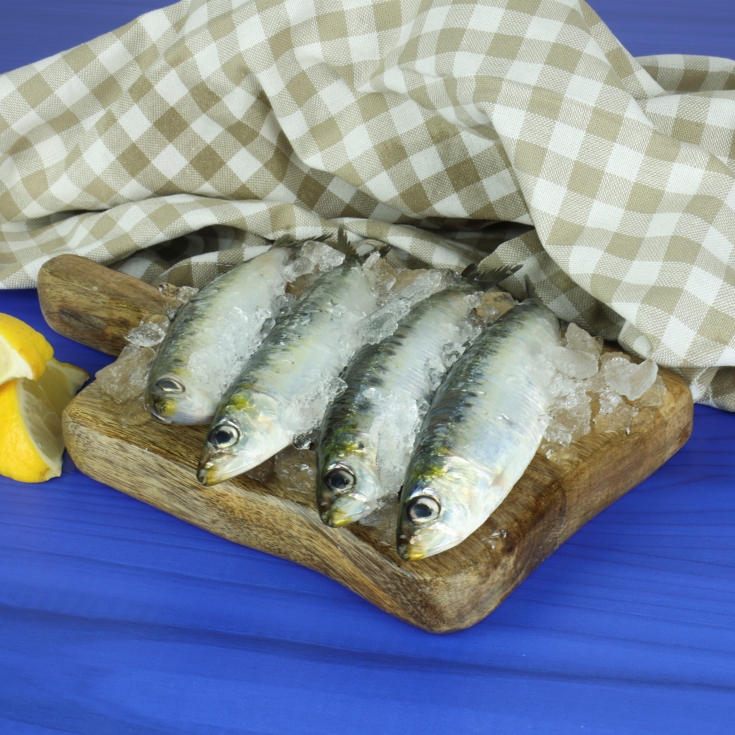 sardinas pequeñas, kg