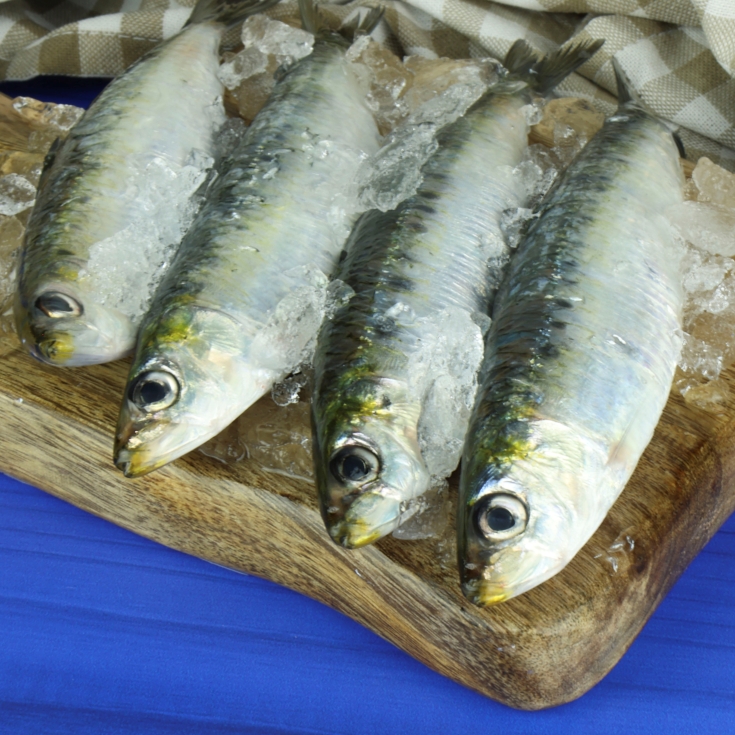 sardinas pequeñas, kg