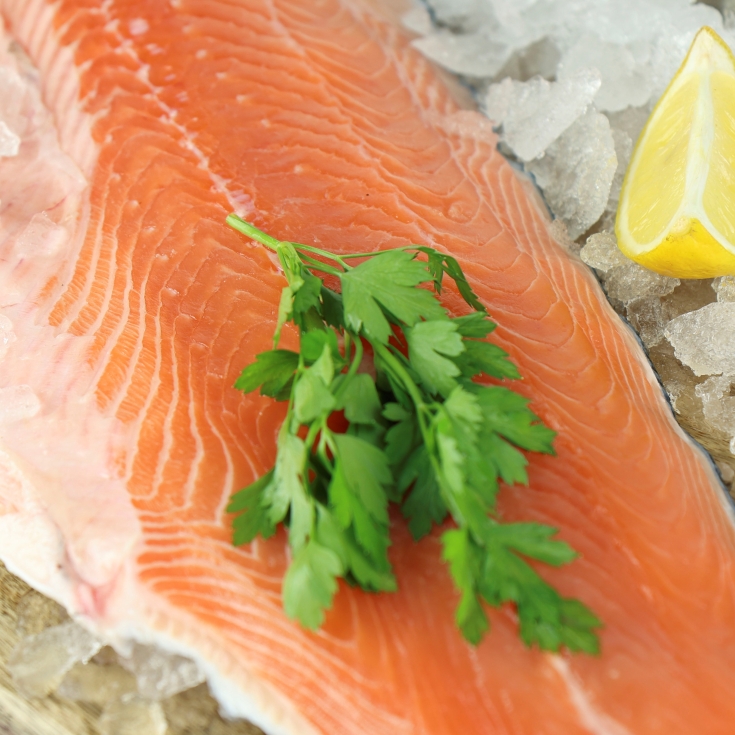 filetes de salmon, kg