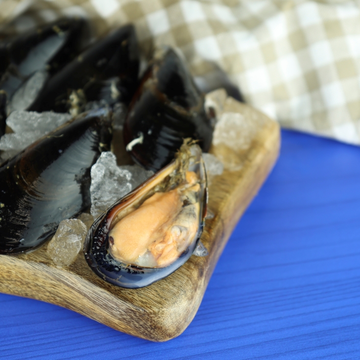 mejillón fresco, kg