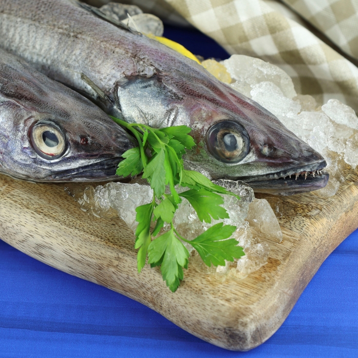 merluza de cádiz, kg