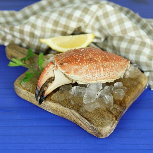 boca cangrejo cocida m, kg