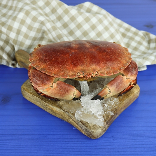 buey mar cocido 600/800, ud