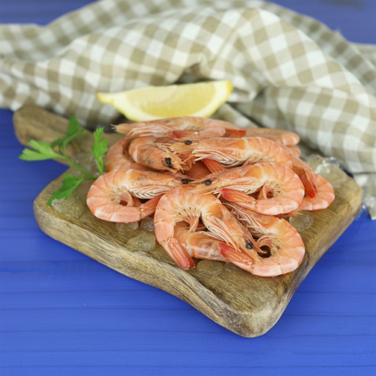 gamba 96/120, kg