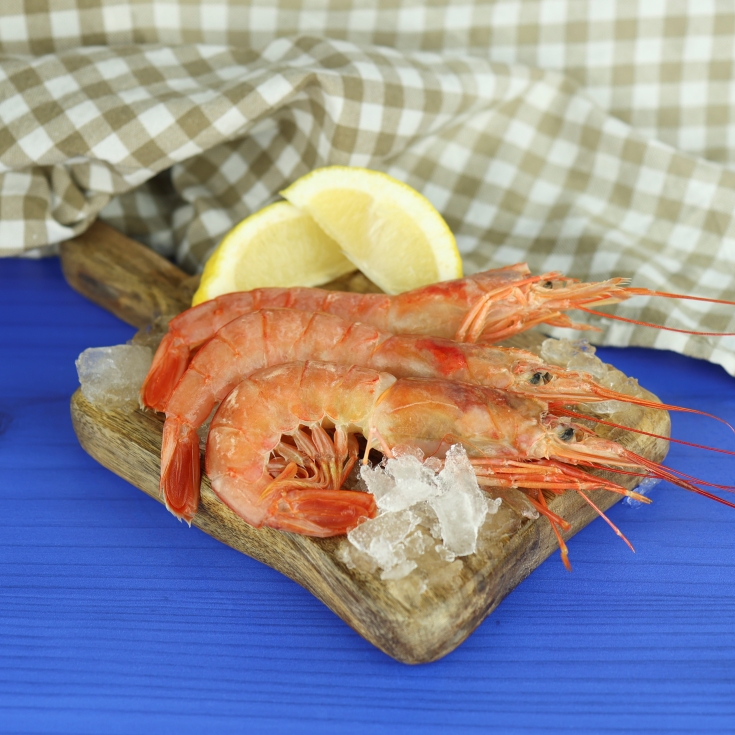 gambón a bordo nº3, kg