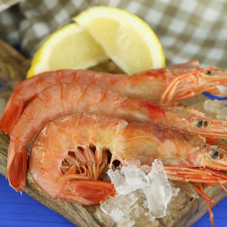 gambón a bordo nº3, kg