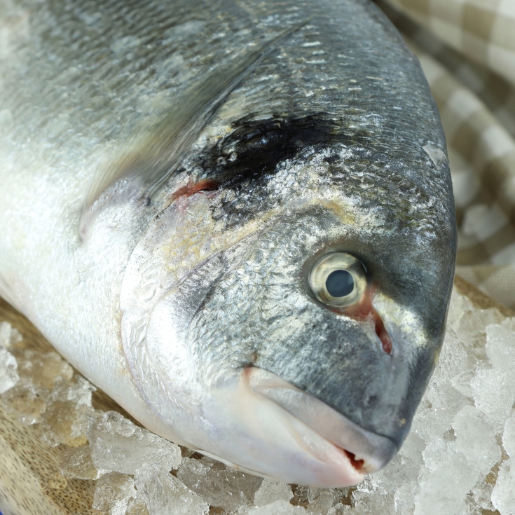 dorada unidad 350grs aprox, ud