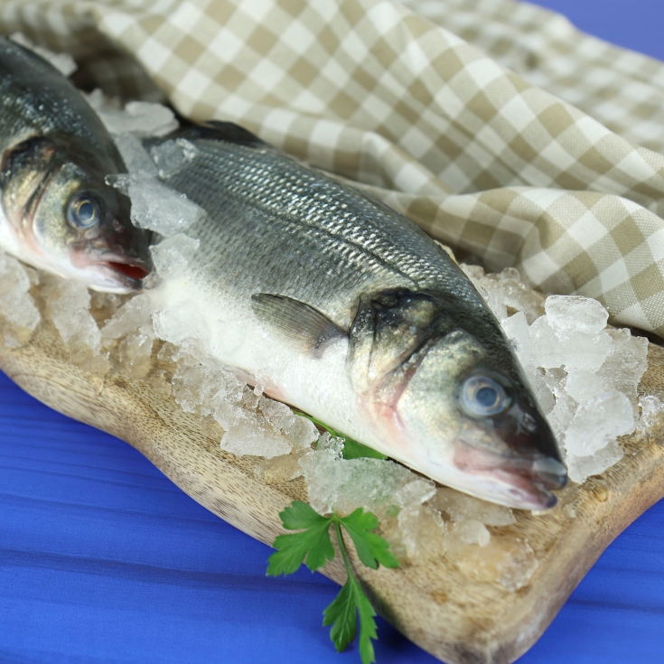 lubina 350grs aprox., ud