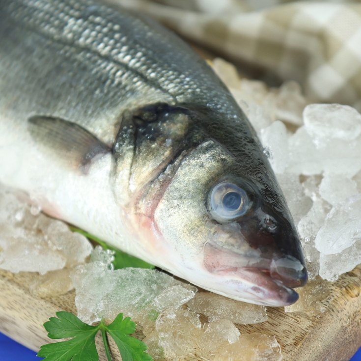 lubina 350grs aprox., ud